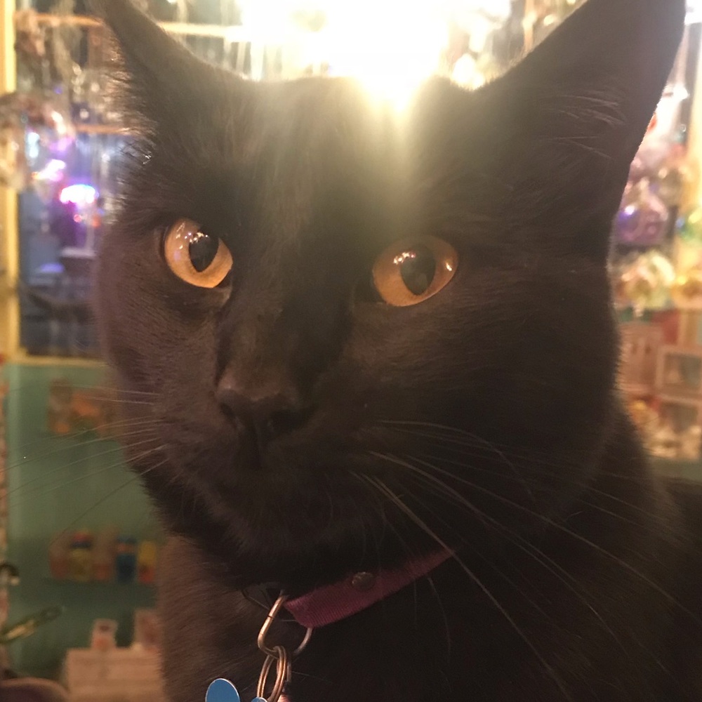 Meet your Posher, Mimi
